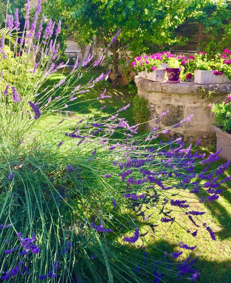 La Maison Du Bourg B&B Puisseguin Dış mekan fotoğraf